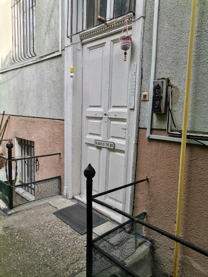 Flat In Historic Villa With Your Own Private Garden, Near City Park Budapeszt Zewnętrze zdjęcie